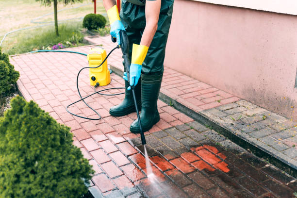 Best Dumpster Area Cleaning  in Naples, FL